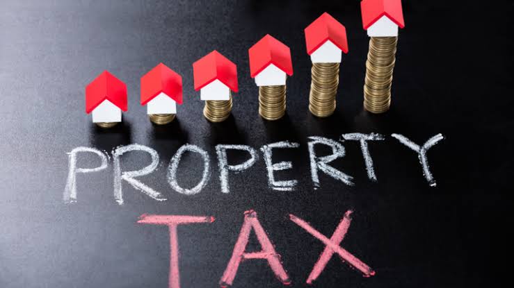 Hidalgo County property tax protest documents